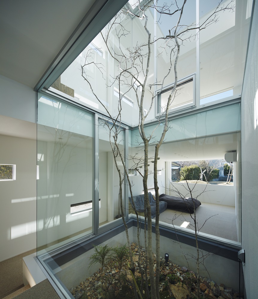 RHYTHM and Plum tree